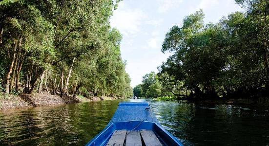 Và đây chính là Tắc ráng, phương tiện di chuyển độc đáo ở miền Tây, một chiếc xuồng máy đuôi tôm.