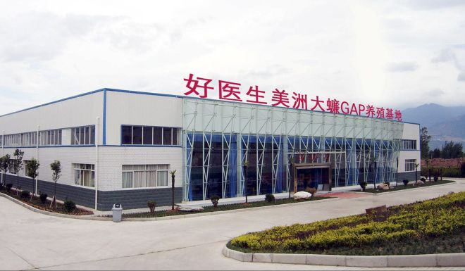 Trang trại nuôi gián lớn nhất thế giới ở Trung Quốc