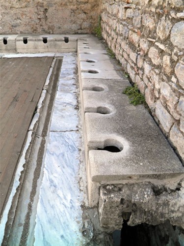 Khi thấy cha - hoàng đế Vespasian - nảy ra sáng kiến xây dựng toilet công cộng thu phí đầu tiên trong lịch sử thế giới, con trai của ông hoàng này là Titus lên tiếng phản đối.