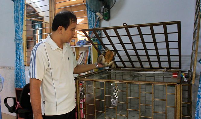 Xuất hiện 'quái vật' rùa siêu dị ở Tiền Giang, dân ầm ầm tới xem Rùa được nuôi trong lồng kính. Nhiều người đến tham quan và ngỏ ý muốn mua gần tỷ bạc nhưng anh Võ Minh Tuấn đã từ chối.